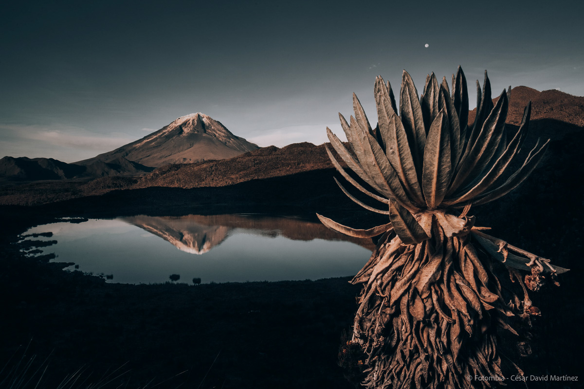 © César David Martínez