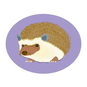 Diana Carolina Osorio Ramos