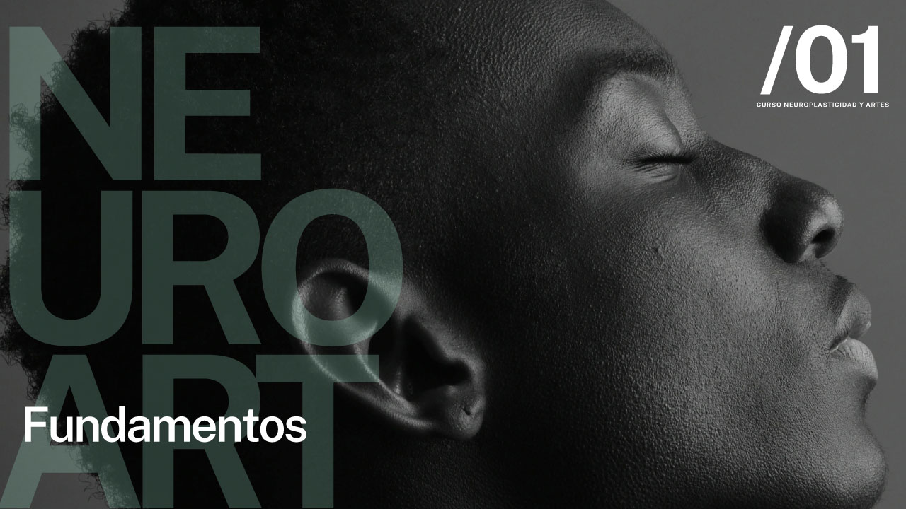 Arte y Neurociencia: Fundamentos
